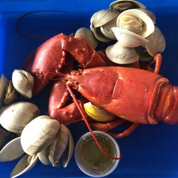 C-Ray Lobster - Large cooked lobster and 2lbs of clams. - Seafood Near Me - Bar Harbor, Maine C-Ray Lobster - Large cooked lobster and 2lbs of clams. - Seafood Near Me - Bar Harbor, Maine