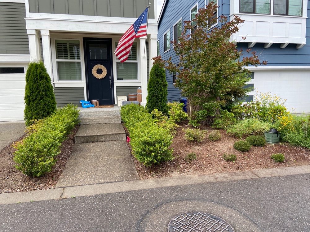 ESTEBAN’S LANDSCAPING & CONSTRUCTION Updated August 2024 33 Photos Federal way, Washington