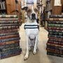 Photo of Pages Past-Used & Rare Books