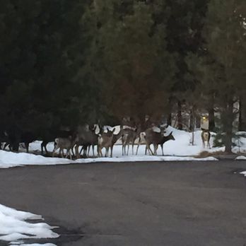 Pine Ridge Inn - Hotels Near Me - Bend, Oregon