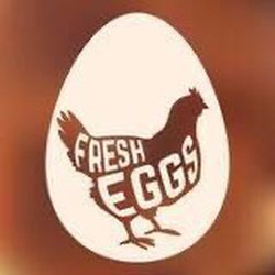 Greg's Eggs