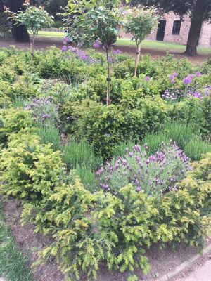 Bramall Hall by null