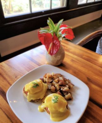 Kilauea Lodge and Restaurant by null