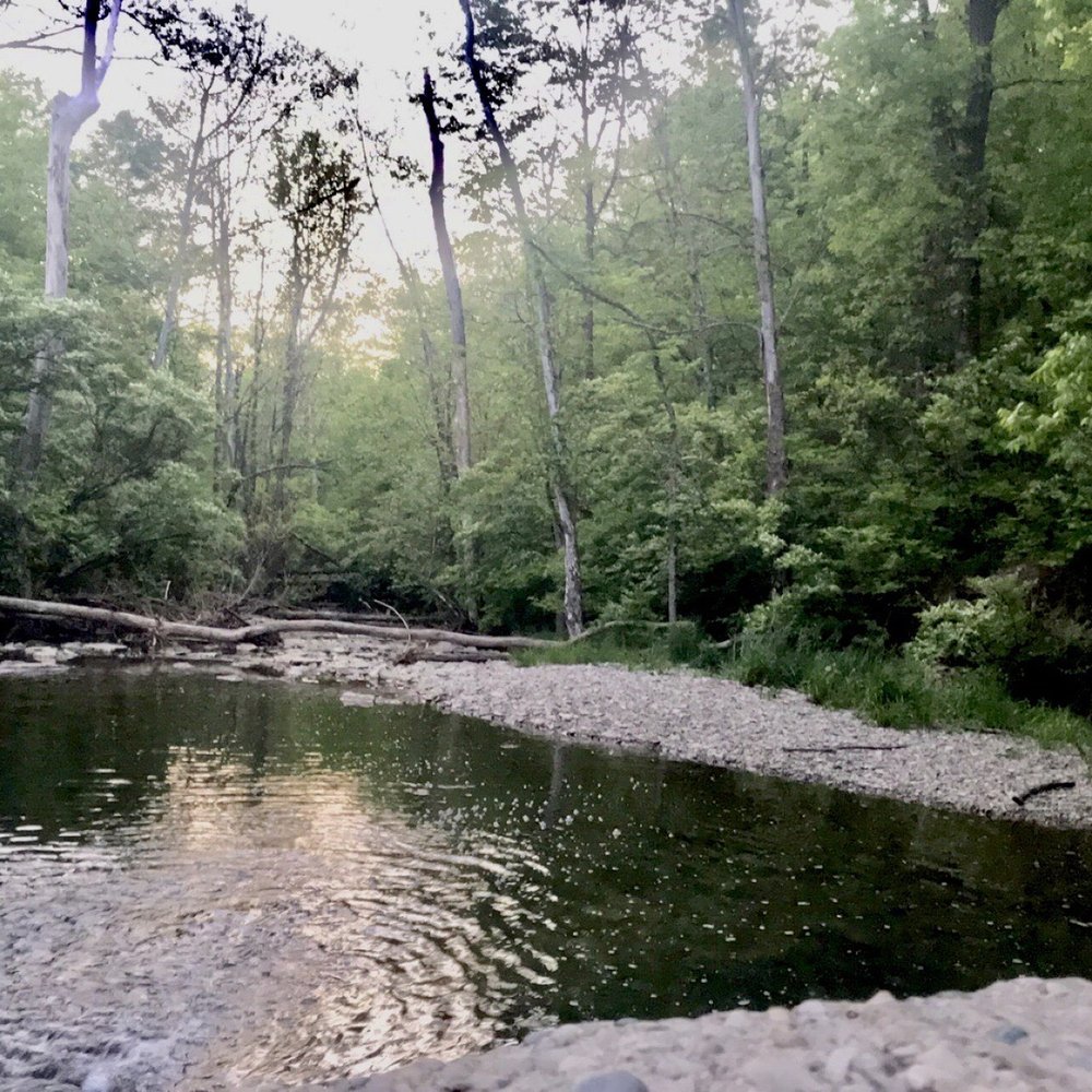 The river