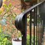 Photo of Top Tier Iron