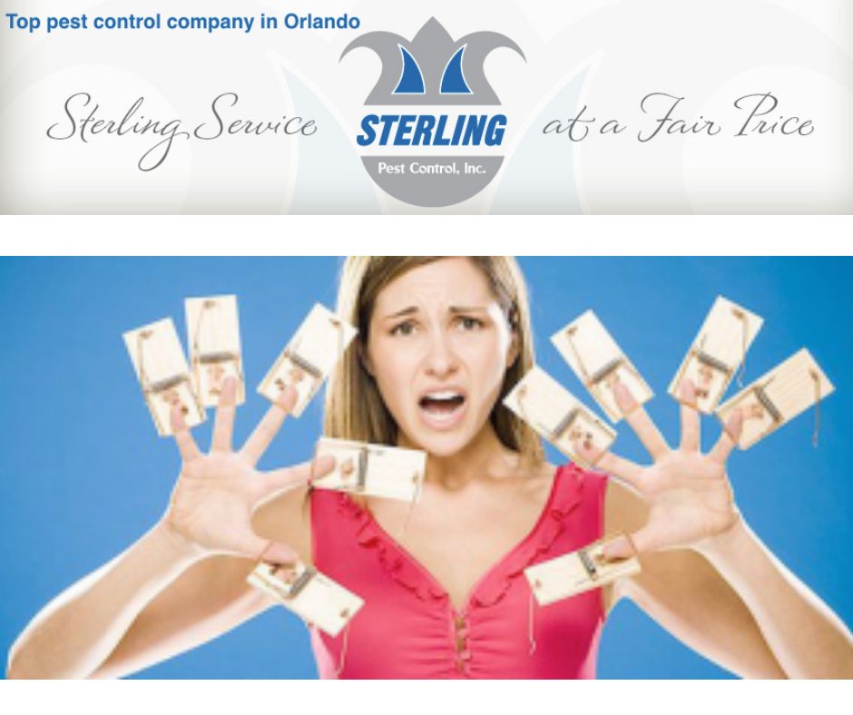 STERLING PEST CONTROL Updated August 2024 23 Photos 7170 Memory