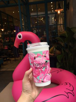 Flamingo Bloom, TST by null