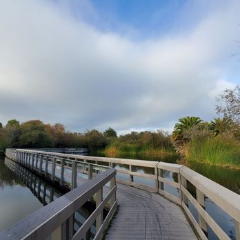 Neary Lagoon - Floating boardwalk - Parks Near Me - Santa Cruz, California Neary Lagoon - Floating boardwalk - Parks Near Me - Santa Cruz, California
