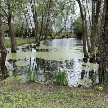Whitney Plantation - Museums Near Me - Wallace, Louisiana Whitney Plantation - Museums Near Me - Wallace, Louisiana