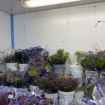 Florida Wholesale Florist - Florists Near Me - Orlando, Florida Florida Wholesale Florist - Florists Near Me - Orlando, Florida