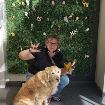 Bubble Bee - Love and Bryxx - Bubble Tea Near Me - Scottsdale, Arizona