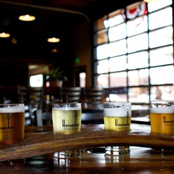 harvester taproom - Flight of delicious beers! - Beer Gardens Near Me - St Paul, Oregon
