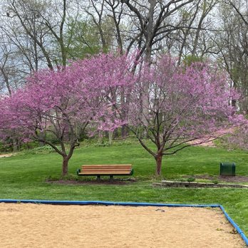 Twin Oaks Park - Trees with bench next to volleyball court - Parks Near Me - Ballwin, Missouri Twin Oaks Park - Trees with bench next to volleyball court - Parks Near Me - Ballwin, Missouri