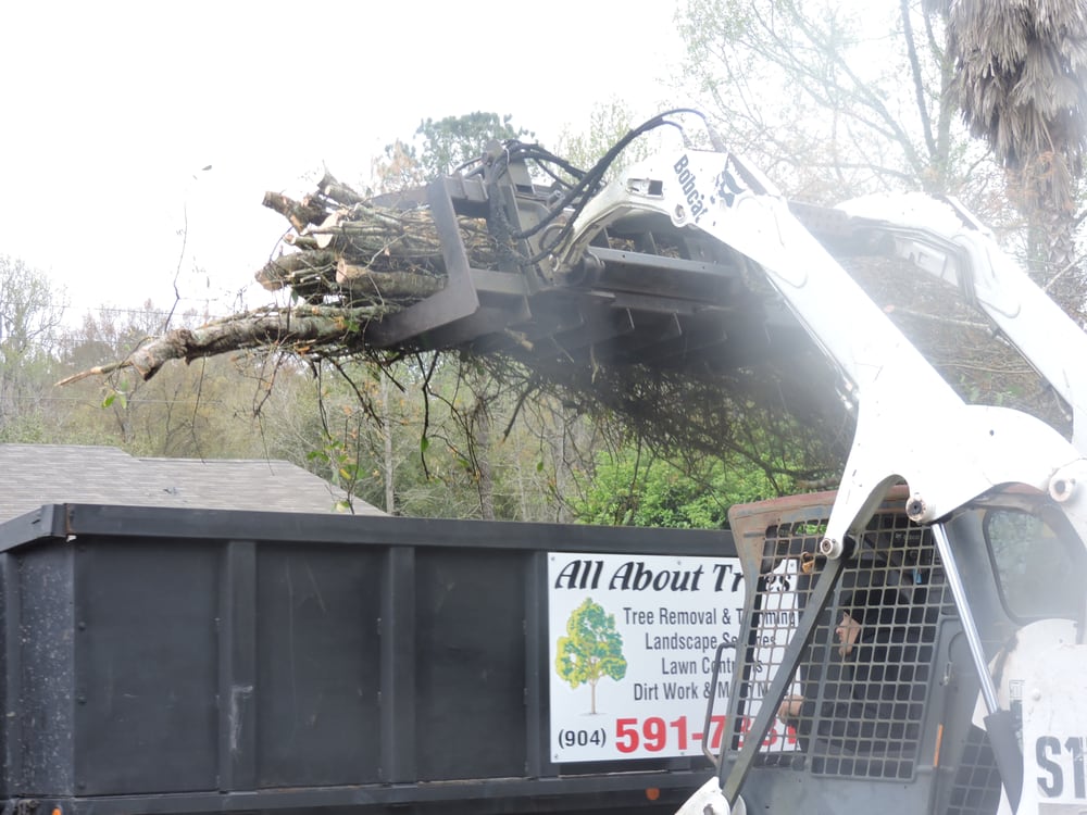 ALL ABOUT TREES, INC 12 Photos Middleburg, Florida Tree Services Phone Number Yelp