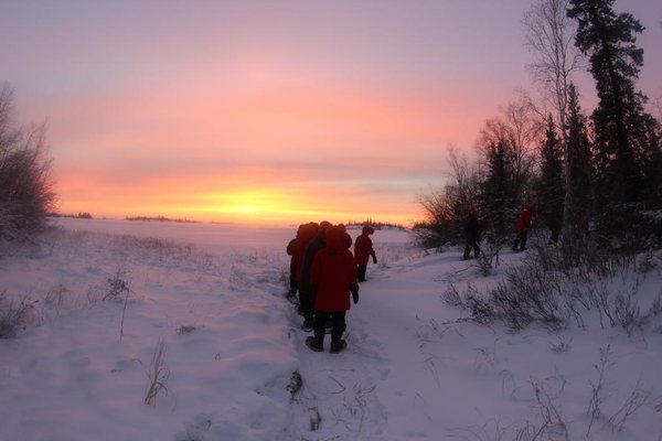 Yellowknife Tours by null