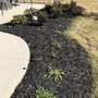 Photo of Trilogy Lawncare