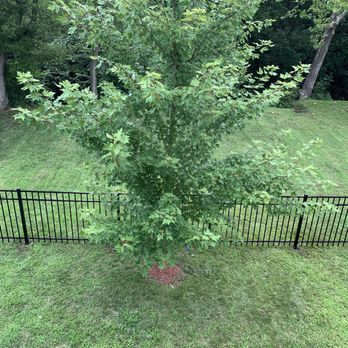 Slagle Fence - Fences & Gates Near Me - Grandview, Missouri