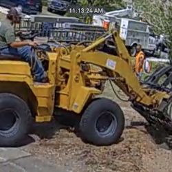 Quality Tree Experts