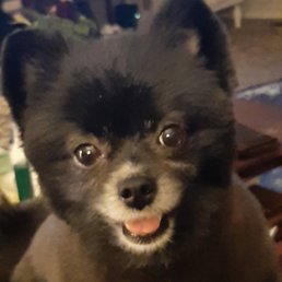 Happy girl!  Thanks for this great cut!