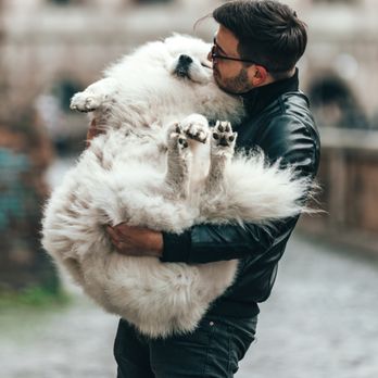 Riverflow Pet Clinic - Veterinarians Near Me - Houston, Texas Riverflow Pet Clinic - Veterinarians Near Me - Houston, Texas