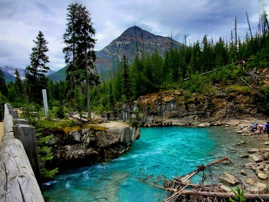 Kootenay National Park by null