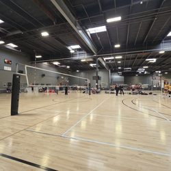 Volleyball