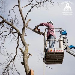 A-TON Tree & Debris