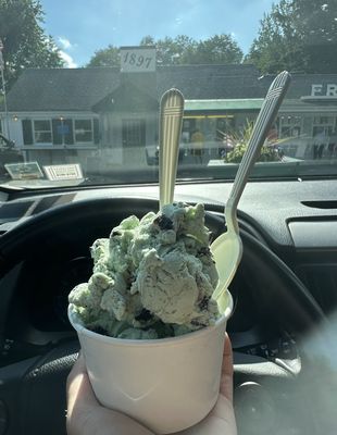 Bubbling Brook Ice Cream by null