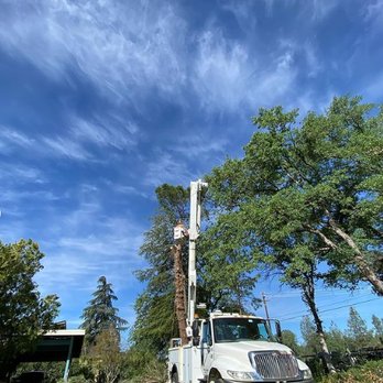 Lassen Valley Tree Service - Locally owned and operated. Serving Redding and surrounding areas. Give us a call today to discuss your project. 530-710-2010 - Tree Services Near Me - Redding, California Lassen Valley Tree Service - Locally owned and operated. Serving Redding and surrounding areas. Give us a call today to discuss your project. 530-710-2010 - Tree Services Near Me - Redding, California