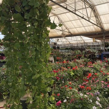 Mary Lee Gardens - Nurseries & Gardening Near Me - Lubbock, Texas