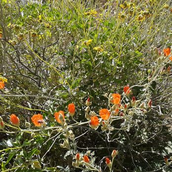 Hellhole Canyon Trail - Hiking Near Me