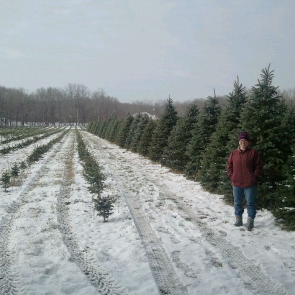 Tree Picking!  (Late November 2012)