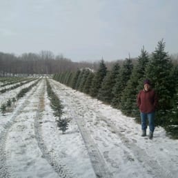 Tree Picking! (Late November 2012) Tree Picking! (Late November 2012)