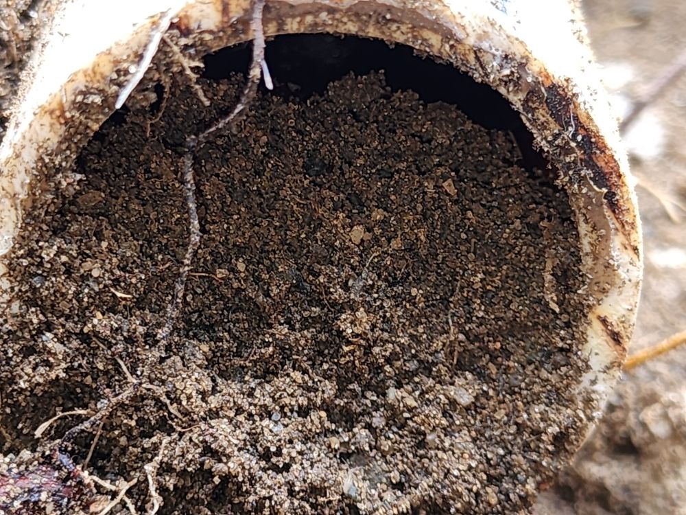 Slide of Pipe Dreams Sewer & Drain