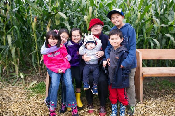 Bob's Corn & Pumpkin Farm by null