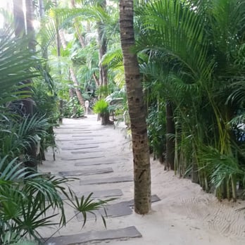 Be Tulum Hotel - the path through the hotel grounds - Hotels Near Me - Tulum, ROO Be Tulum Hotel - the path through the hotel grounds - Hotels Near Me - Tulum, ROO