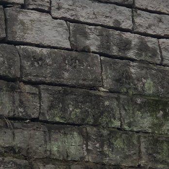 Tyler Park - Was fun watching this squirrel navigate this tall stone wall - Parks Near Me - Louisville, Kentucky Tyler Park - Was fun watching this squirrel navigate this tall stone wall - Parks Near Me - Louisville, Kentucky