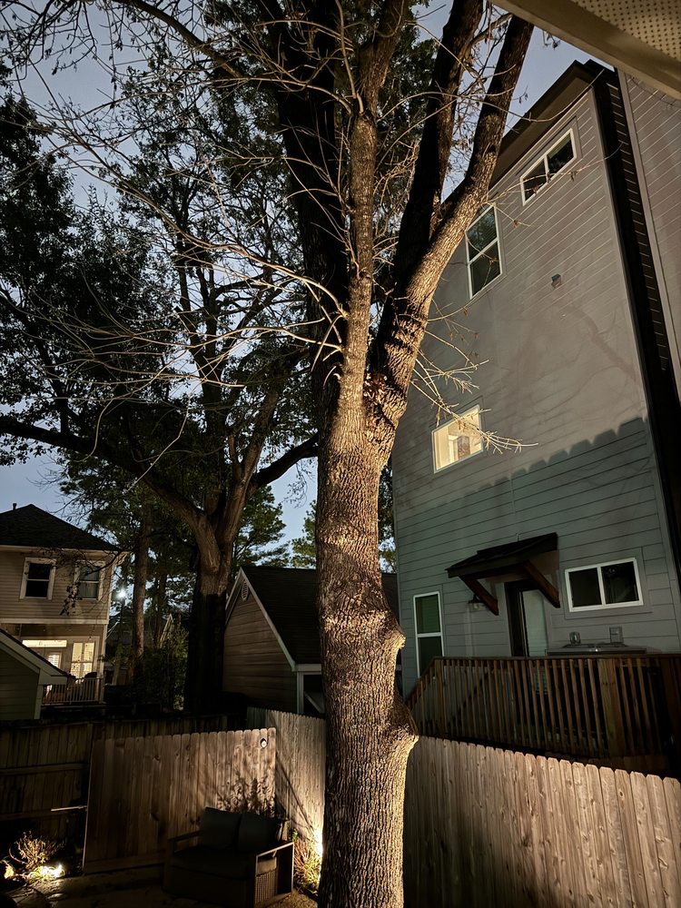 J &N TREE SERVICE Updated September 2024 11 Photos Houston, Texas