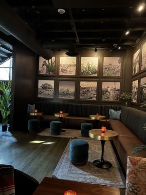 Masa & Agave Cantina by null