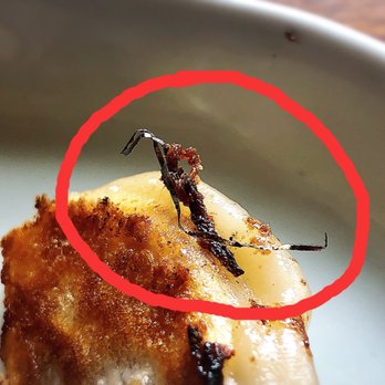 Menya le Nood - What is this?!?! - Ramen Near Me - Honolulu, Hawaii Menya le Nood - What is this?!?! - Ramen Near Me - Honolulu, Hawaii