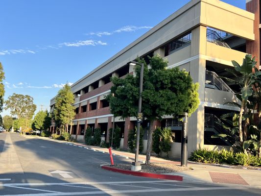 California State University Long Beach by null
