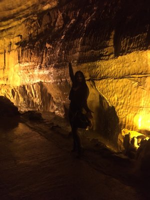 National Showcaves Centre for Wales by null