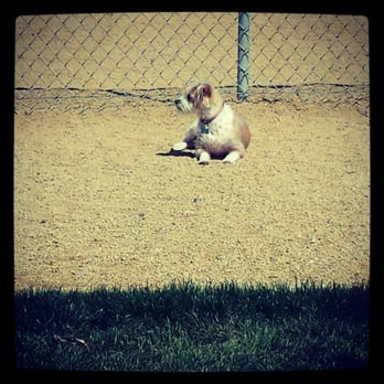 Hound Town Dog Park - Sometimes you just wanna sun bathe instead of play. - Dog Parks Near Me - Moreno Valley, California