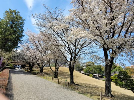 Suizenji Jojuen Garden by null