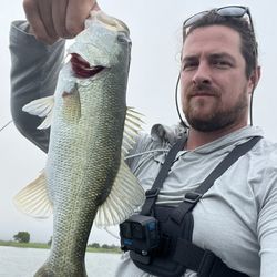 Academy Sports + Outdoors