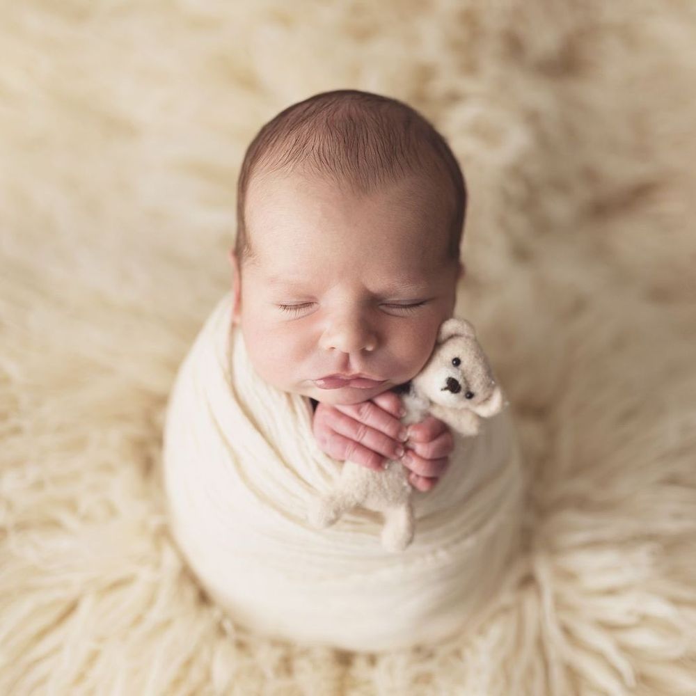 Silver Bee Photography - Session Photography Near Me - Austin, Texas Silver Bee Photography - Session Photography Near Me - Austin, Texas