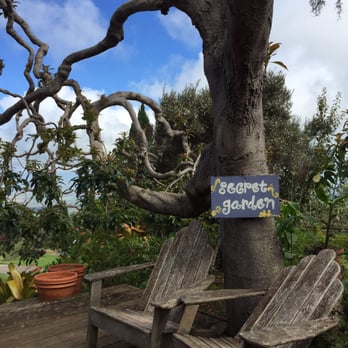 Ali'i Kula Lavender - Cute hidden seating areas around the property - Tours Near Me - Kula, Hawaii Ali'i Kula Lavender - Cute hidden seating areas around the property - Tours Near Me - Kula, Hawaii