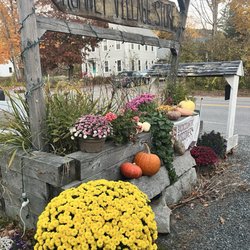Rumney Village Store And Bird Dog Cafe - Very cute sign