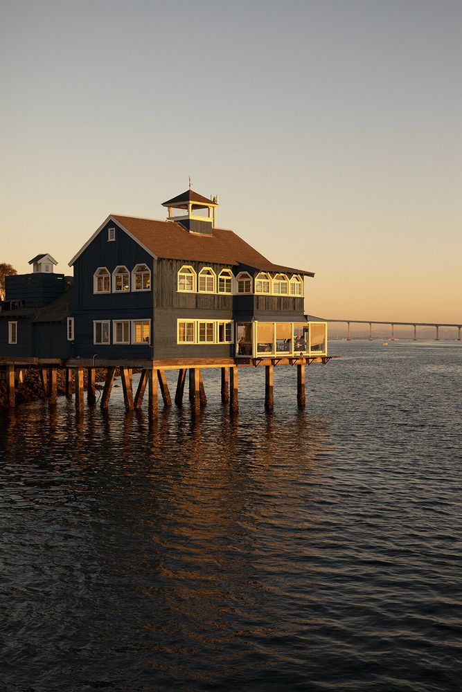 Shorebird - Coastal Kitchen
