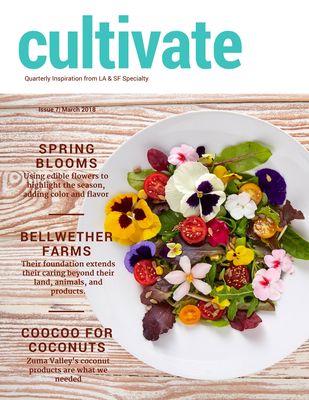 Vesta Foodservice by null